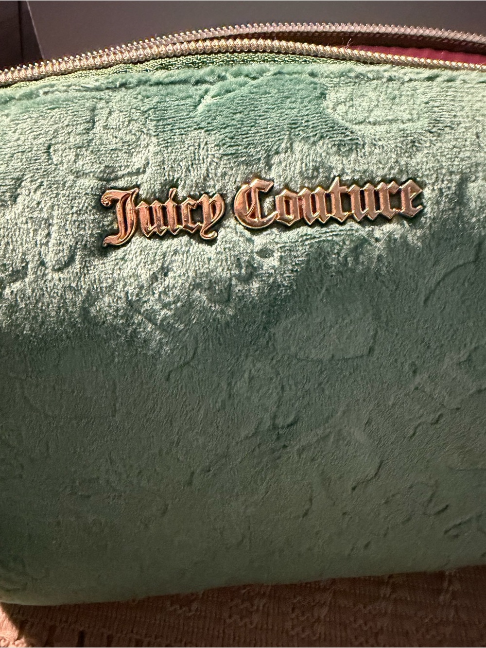 Juicy Couture Green/light teal Plush Makeup Pouch with Gold Logo - Picture 2 of 4